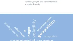 The Valueof the CSO Report