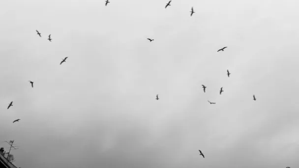 Corporate Security: Future Talent