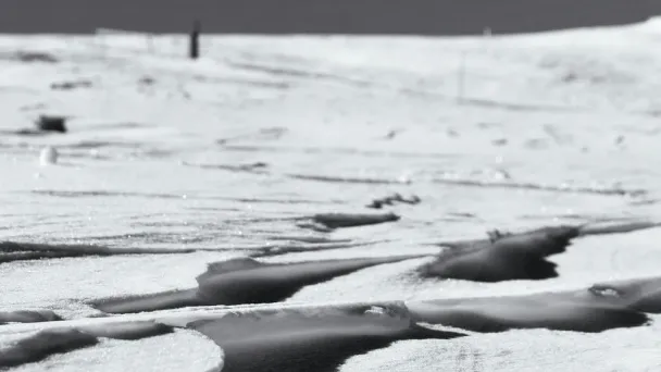 Six Insights for Effective Security Culture