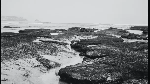 Rachel Briggs OBE on Sky News