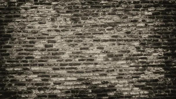 2026 CSO Survey Open