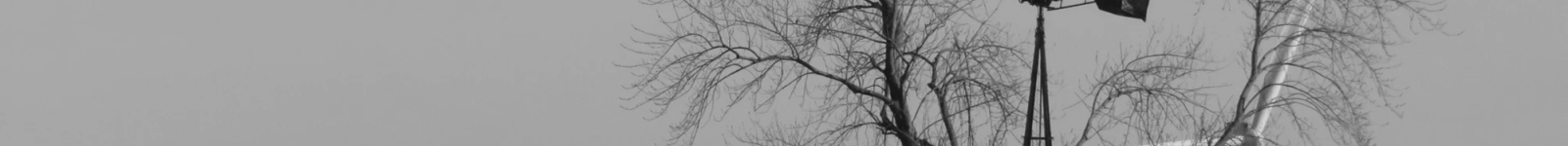 The Future of Corporate Security