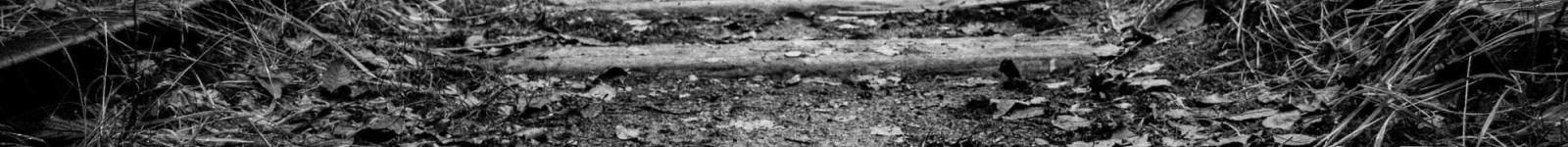 Rachel Briggs predicts trends for 2025