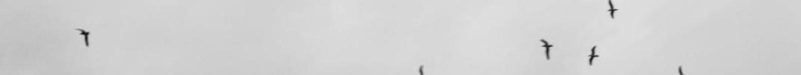 Corporate Security: Future Talent